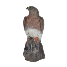 Franzbogen Falcon